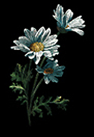 Creating with Claybord - Daisies