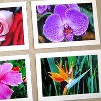 Strathmore Photo Mount Cards-Classic Emboss