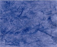 Dark Blue Mulberry