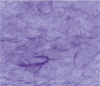 Violet Mulberry
