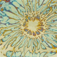 Variegated Blue Leaf