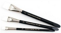 Wash and One Stroke Brushes 985