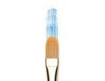 Regency Gold 555 Oval Combs