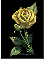 Creating with Claybord - Yellow Rose