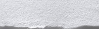 Hosho Student Paper