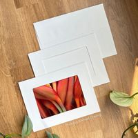 Strathmore Photo Frame Cards