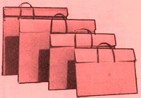 Star Red Wallet Portfolio